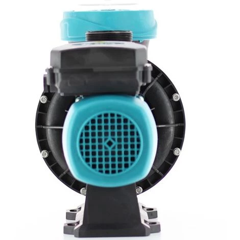 Pompe Piscine - Silen I 100 15 M De Espa 6 Pompe Piscine - Silen I 100 15 M De Espa – Image 4