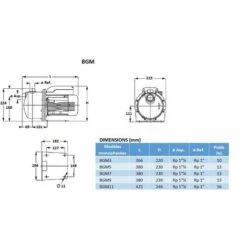 Pompe De Surface LOWARA BGM9 Auto-amorçante BG - 3,9 M3/h - 50 M - Rp 1 - Mono 230V - 50Hz - 0,90 KW 8 Pompe De Surface LOWARA BGM9 Auto-amorçante BG - 3,9 M3/h - 50 M - Rp 1 - Mono 230V - 50Hz - 0,90 KW -Promos Pompe Boutique 21914663 3