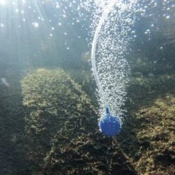 Aérateur De Bassin Solaire 2W 130 L / H Pompe Aération De Bassin Oxygène Esotec 101840 -Promos Pompe Boutique 26787573 4