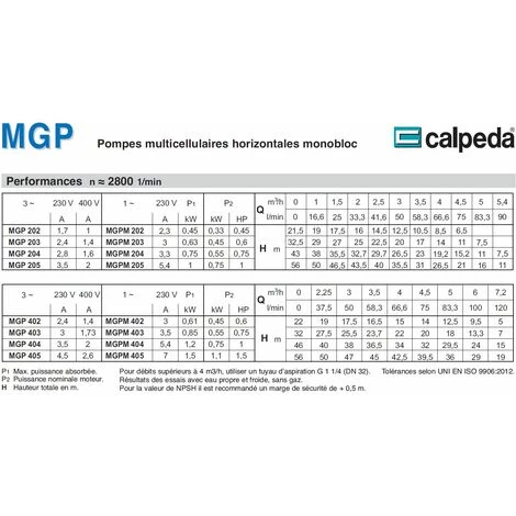 Calpeda Pompe à Eau En Fonte MGP405m 1,1kW 1,5Hp Monophasé 230V 50Hz MGPM Pour Jardin Et Arrosage 4 Calpeda Pompe à Eau En Fonte MGP405m 1,1kW 1,5Hp Monophasé 230V 50Hz MGPM Pour Jardin Et Arrosage – Image 2