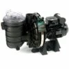 Pompe Piscine - Sta-Rite S5-P2R - 0.75 CV - Mono De Pentair -Promos Pompe Boutique 3752640 1