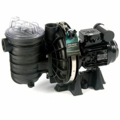 Pompe Piscine - Sta-Rite S5-P2R - 0.75 CV - Mono De Pentair