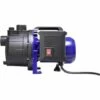 Renkforce Pompe De Jardin 3100 L/h 35 M - Noir, Bleu -Promos Pompe Boutique 4487429 1