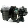 Pompe De Filtration Piscine Pentair Sta-rite 1.00 Cv Mono 5p2re-1 -Promos Pompe Boutique 7533390 1