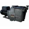 Pompe De Filtration Piscine Super Pump Hayward 3/4 Cv Mono 11 M³/h 1''1/2 -Promos Pompe Boutique 7723643 1